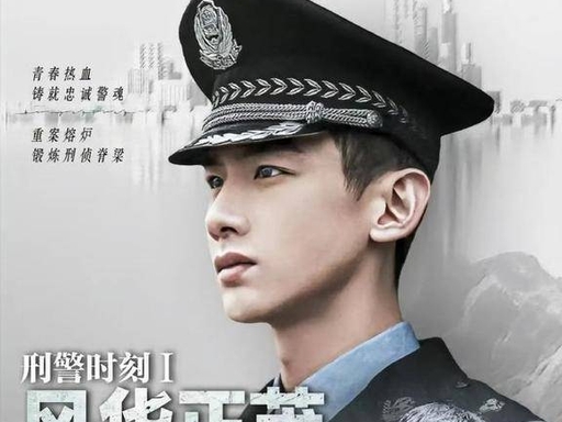 刑警时刻之风华正茂海报