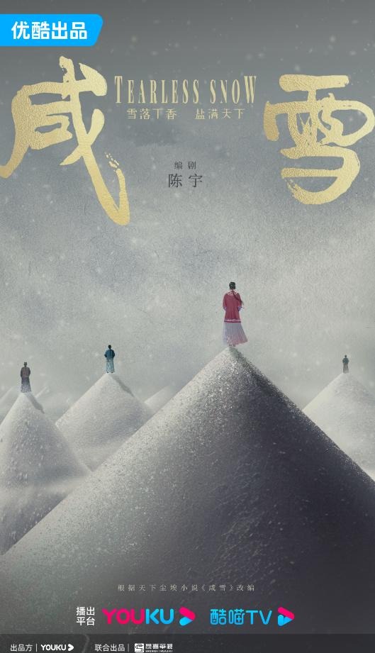 咸雪海报