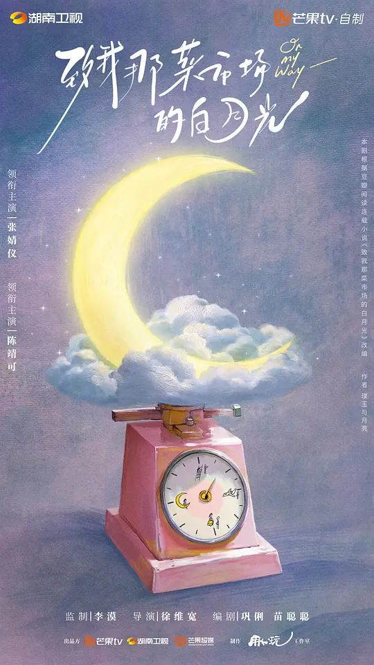 致我那菜市场的白月光海报