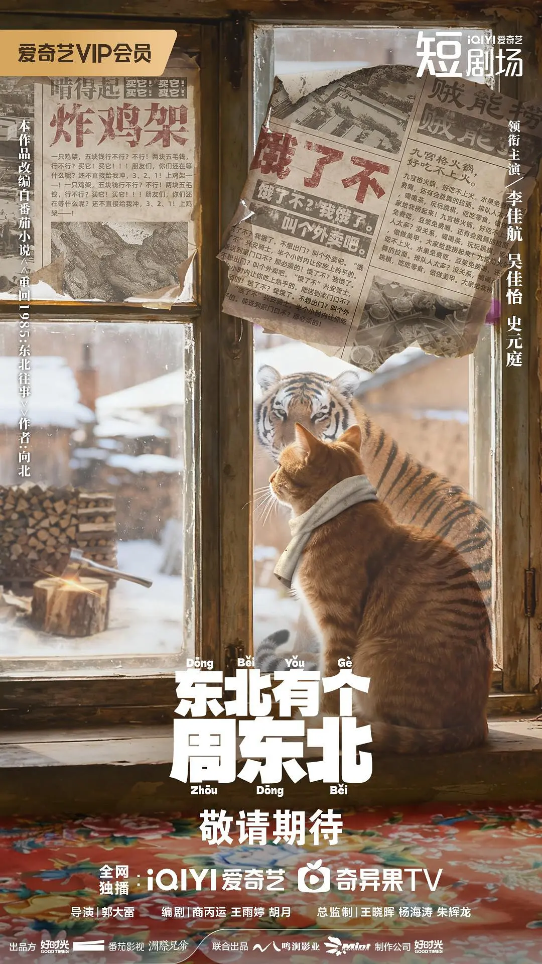 东北有个周东北推荐观看平台海报