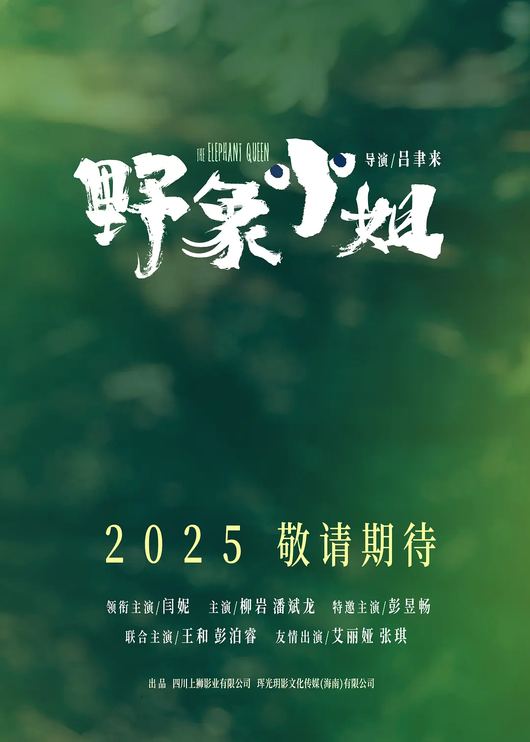 野象小姐海报
