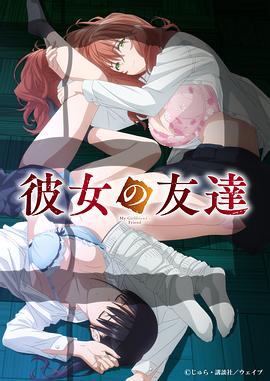 女友的朋友海报