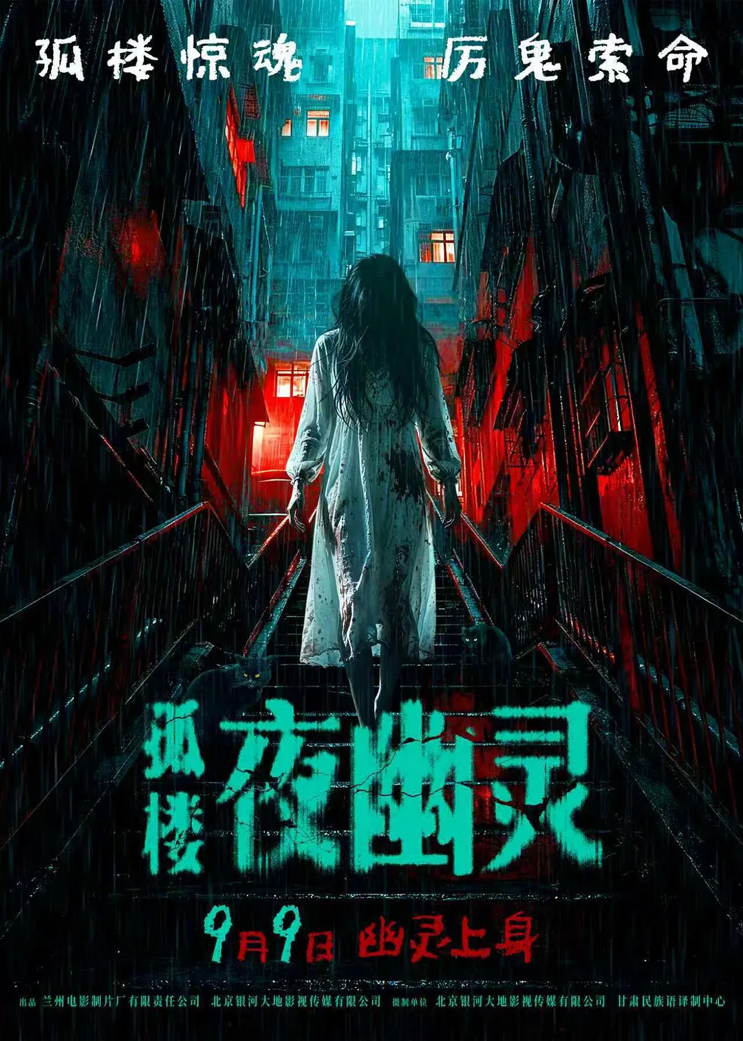 孤楼夜幽灵影评海报