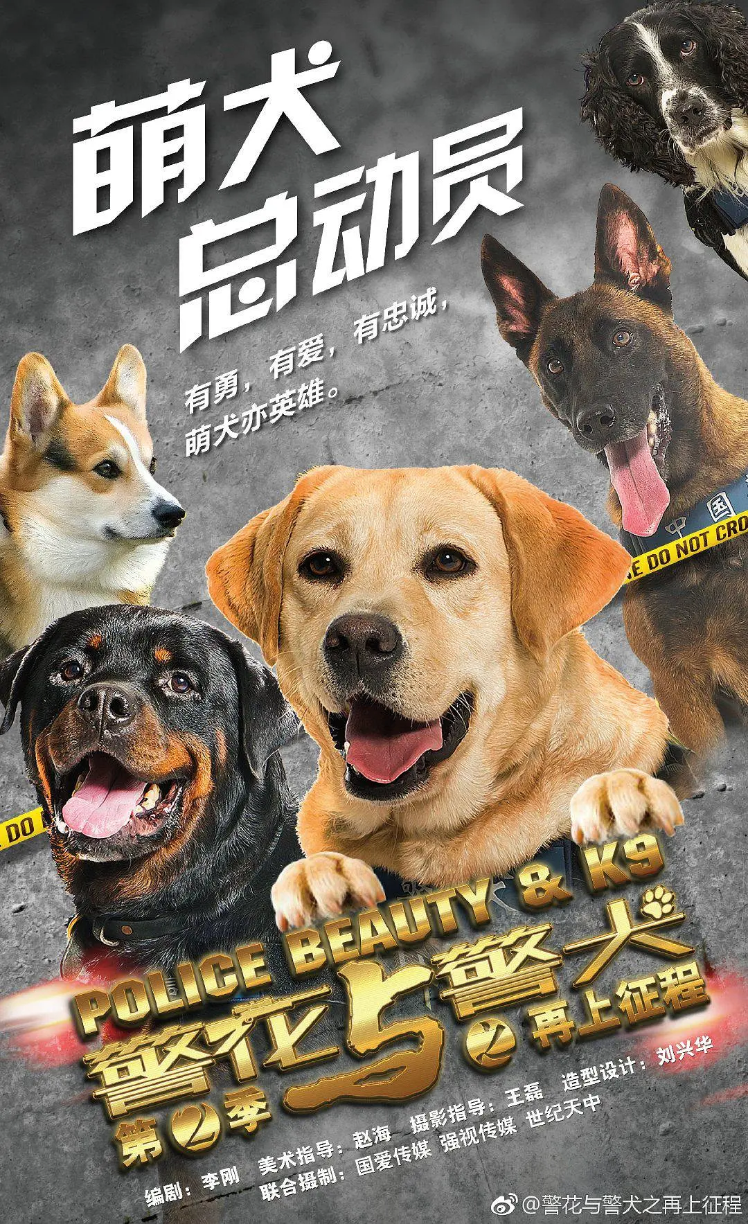 警花与警犬第二季海报