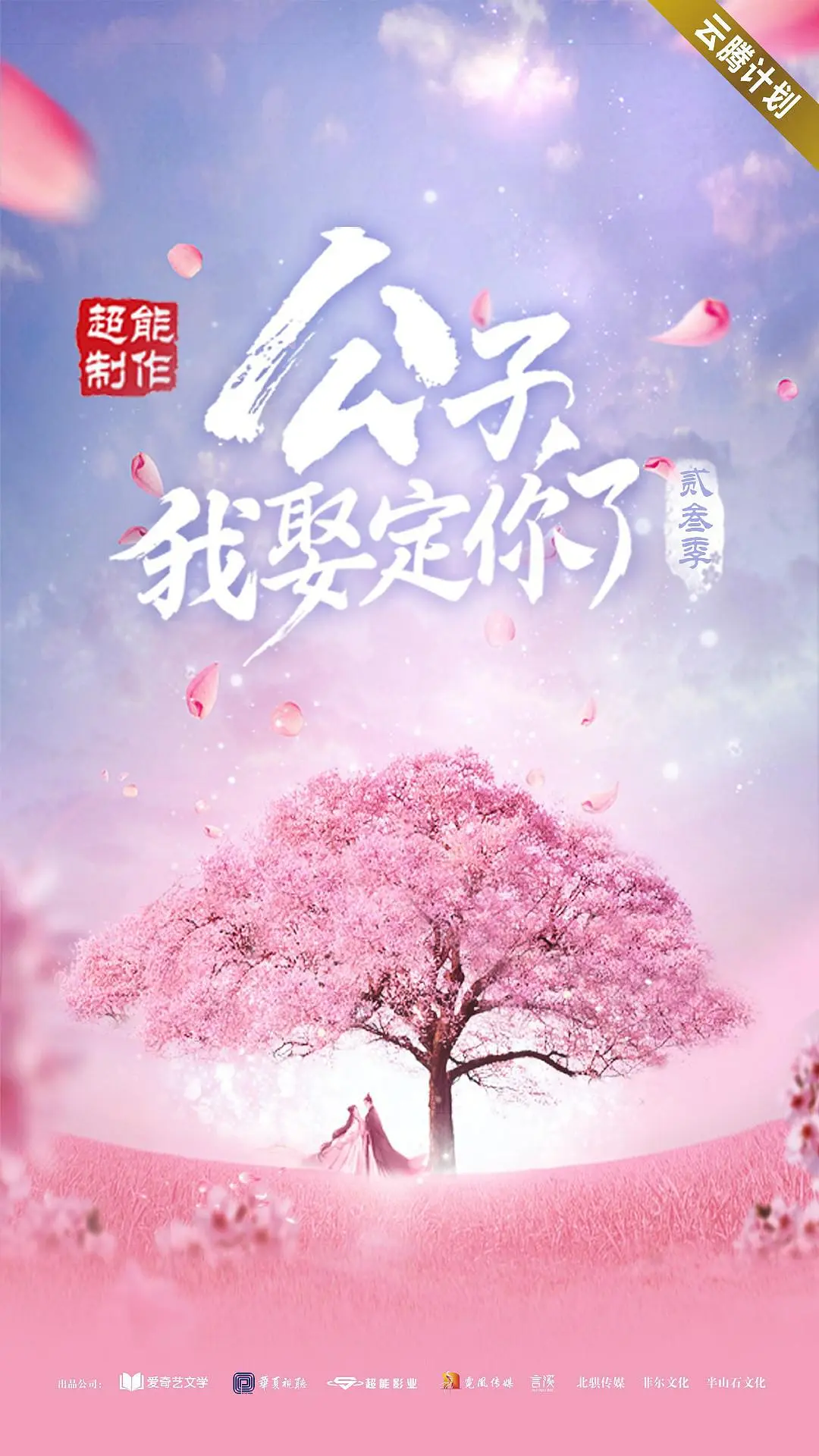 公子，我娶定你了3海报
