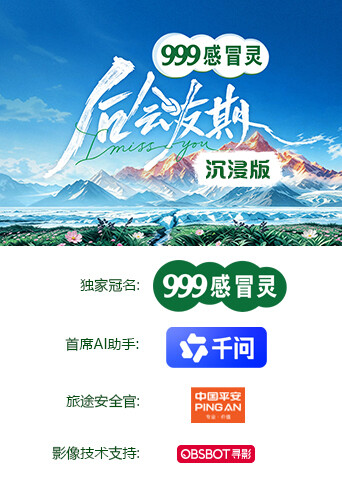 后会友期 沉浸版海报