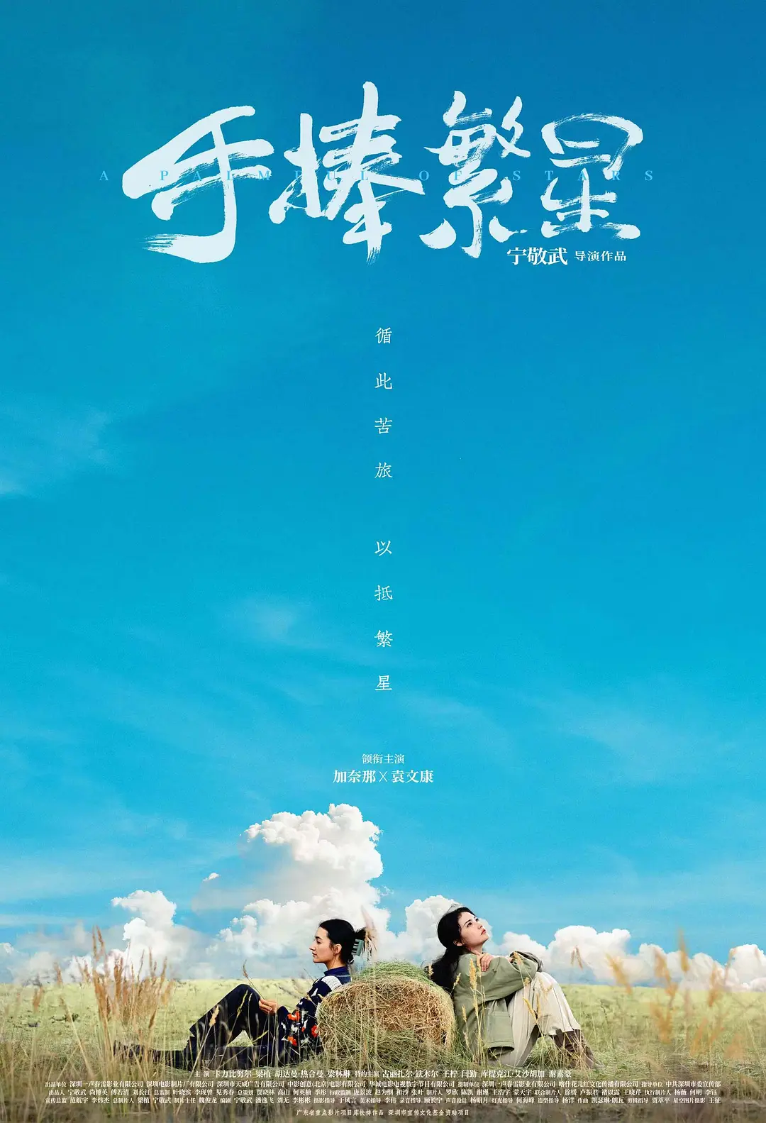 手捧繁星海报