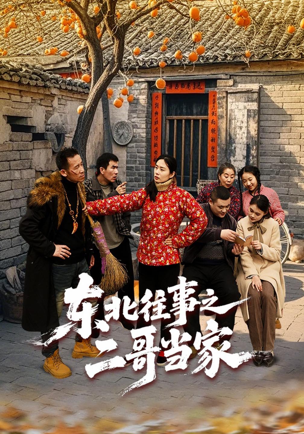 东北往事之二哥当家海报