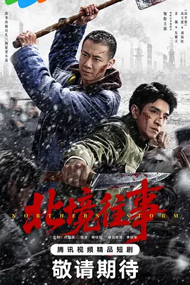 北境往事海报